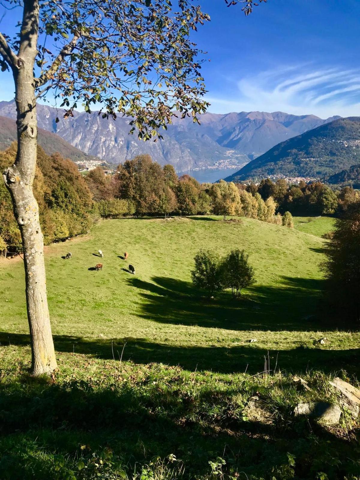 Agriturismo Baita Bave Pellio Inferiore Bagian luar foto